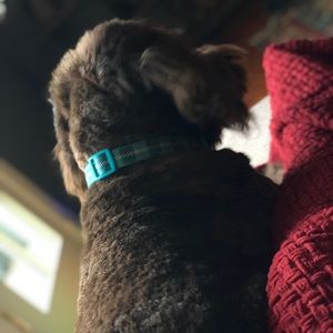 Meet your Posher, Maddie